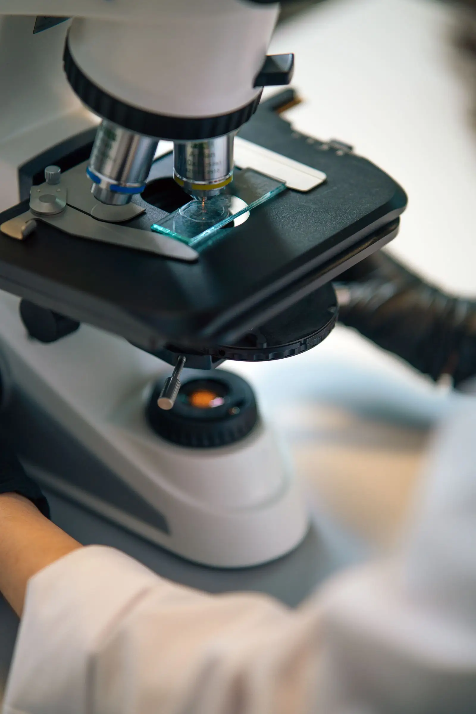 Materialprobe unter dem Labormikroskop bei der Asbest-Analyse
